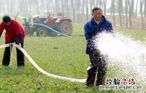 小麦冬灌注意事项 冬小麦冬前管理应注意什么?