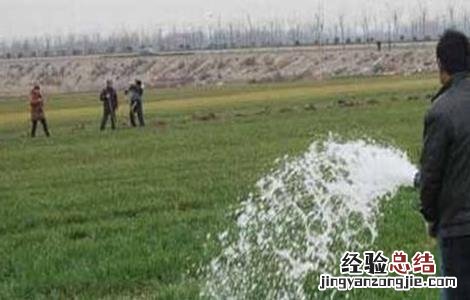 小麦冬灌注意事项 冬小麦冬前管理应注意什么?