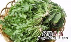 菱角菜哪些人不适合吃 什么人不能菱角菜