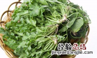 菱角菜哪些人不适合吃 什么人不能菱角菜