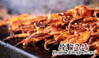 鱿鱼怎么不粘锅 鱿鱼有什么功效