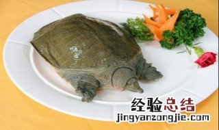 甲鱼怎么杀 甲鱼处理方法