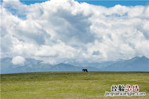 退耕还林地可以建养殖场吗 林地可以建养殖场吗