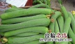 丝瓜营养价值及功效与作用 丝瓜营养价值及功效与作用