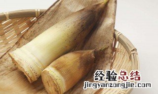 冬笋的营养价值及功效与作用 冬笋的营养价值及功效与作用及禁忌