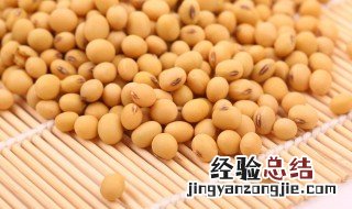 黄豆的营养价值及功效与作用 黄豆的营养价值及功效与作用是什么