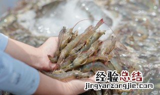 虾怎么炒好吃,家常菜 炒虾的烹饪方法