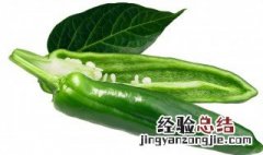 秋葵营养价值及功效与作用 秋葵营养价值及功效与作用图片