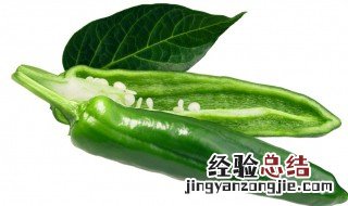 秋葵营养价值及功效与作用 秋葵营养价值及功效与作用图片