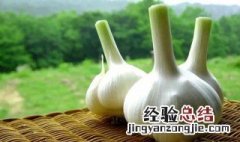 大蒜的营养价值及功效与作用 大蒜的营养价值及功效与作用是什么