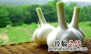 大蒜的营养价值及功效与作用 大蒜的营养价值及功效与作用是什么