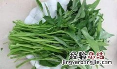空心菜水中怎么种植的 空心菜水中怎么种