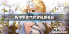 原神霓裳花商人位置 原神霓裳花在哪里买