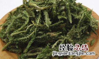 伸筋草的作用 伸筋草的作用与功效及图片