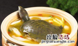 炖甲鱼汤加什么材料好放花椒八角吗 炖甲鱼汤加什么材料好