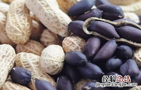 黑花生的种植方法视频 黑花生的种植方法