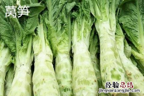 莴笋和贡菜的区别 莴笋和贡菜的区别图片 两者之间