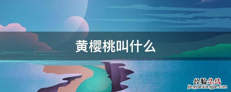 烟台黄樱桃叫什么 黄樱桃叫什么