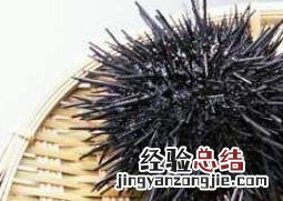 海胆怎么吃图解 海胆吃法和做法大全