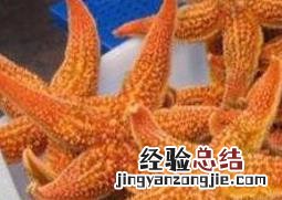 干海星的功效与作用及食用方法 干海星的功效与作用
