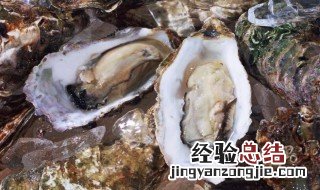 海蛎的营养价值及功效与作用禁忌 海蛎的营养价值及功效
