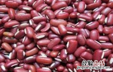 赤小豆的种植方法 赤小豆的种植方法视频