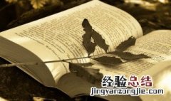 会絮是什么意思 絮是什么意思啊