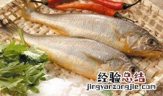 黄鱼的营养价值及功效与作用禁忌 黄鱼的营养价值及功效与作用