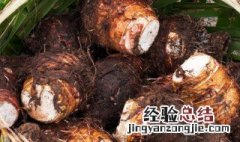 槟榔芋是凉性食物吗 槟榔芋属于什么性质