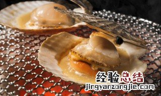 扇贝是什么 扇贝的简介