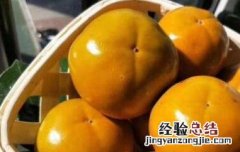 柿子冰糖泡酒的功效与作用 柿子冰糖泡酒的功效与作用是什么