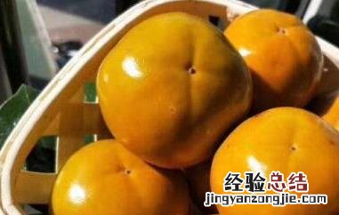 柿子冰糖泡酒的功效与作用 柿子冰糖泡酒的功效与作用是什么
