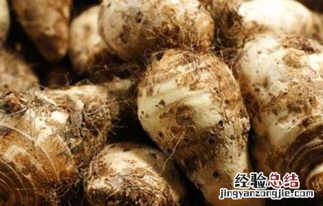芋头的田间管理技术 芋头的田间管理及施肥