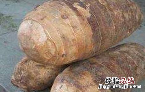 香芋的田间管理技术有哪些 香芋的田间管理技术