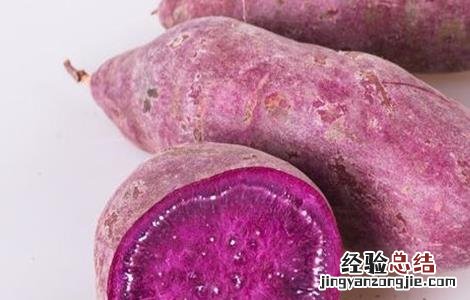 紫薯的田间管理 紫薯的栽培与管理