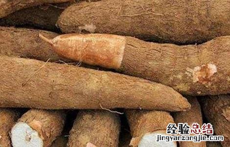 木薯的田间管理 木薯的田间管理措施
