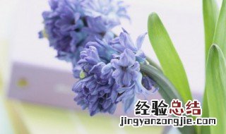 描写立春的唯美诗句 这三首都是立春的诗句