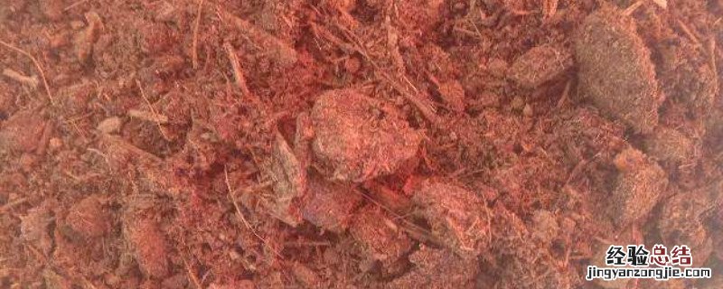 羊粪怎么发酵才可以当肥料视频 羊粪怎么发酵才可以当肥料