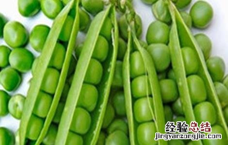 青豆种植的方法有哪些 青豆种植的方法