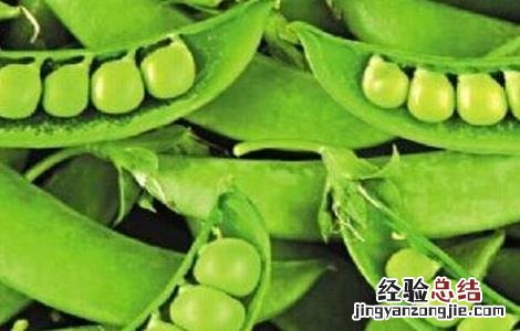 青豆种植的方法有哪些 青豆种植的方法