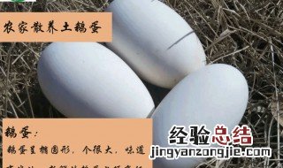 鹅蛋的营养成分及功效作用 蛋鹅的营养价值及功效与作用