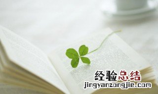 毕竟西湖六月中风光不与四时同下一句 毕竟西湖六月中风光不与四时同的后一句