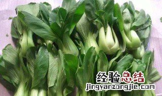 香菇油菜的营养价值及功效与作用 油菜的营养价值及功效与作用