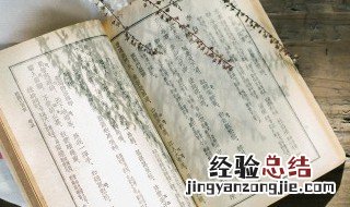 形容主持人的优美成语有哪些 形容主持人的优美成语