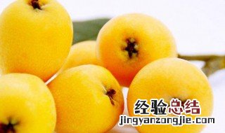 枇杷营养价值及功效与作用图片 枇杷营养价值及功效与作用