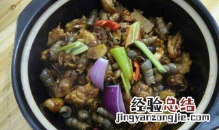 螺的营养价值及功效与作用 花甲螺的营养价值及功效与作用