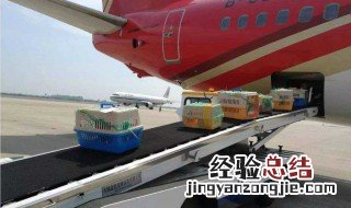 宠物怎么托运 宠物可以托运吗