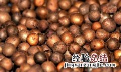 山药豆跟什么相克 山药豆和什么不能吃