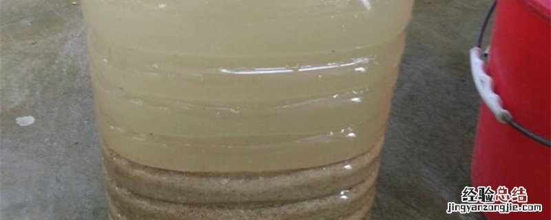 豆饼不发酵可以直接做底肥吗 豆饼不发酵能施肥吗