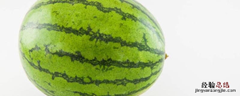 西瓜定植后需几天浇缓苗水 西瓜苗移栽后几天浇缓苗水